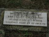 image of grave number 455713